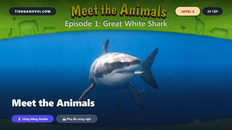 Meet the Animals