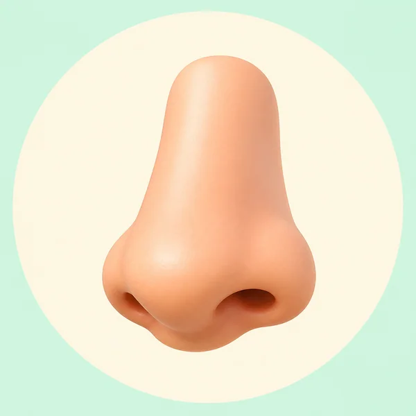 nose — cái mũi